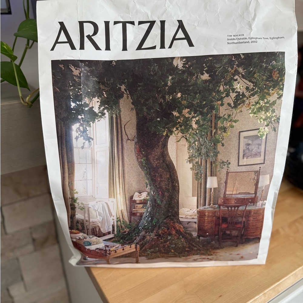 Aritzia Tote